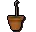 Redwood sapling